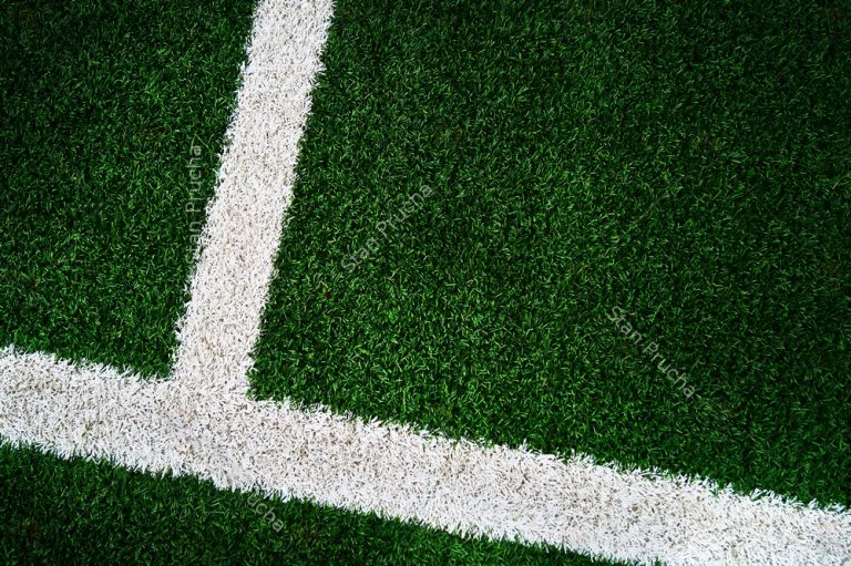 Artificial Green Grass Football / Soccer Field / Pitch & White Stripe