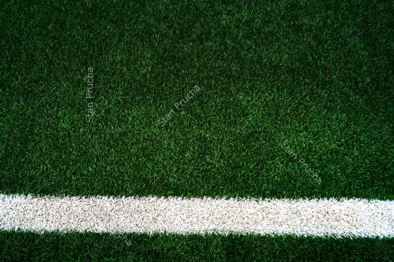 Artificial Green Grass Football / Soccer Field / Pitch & White Stripe