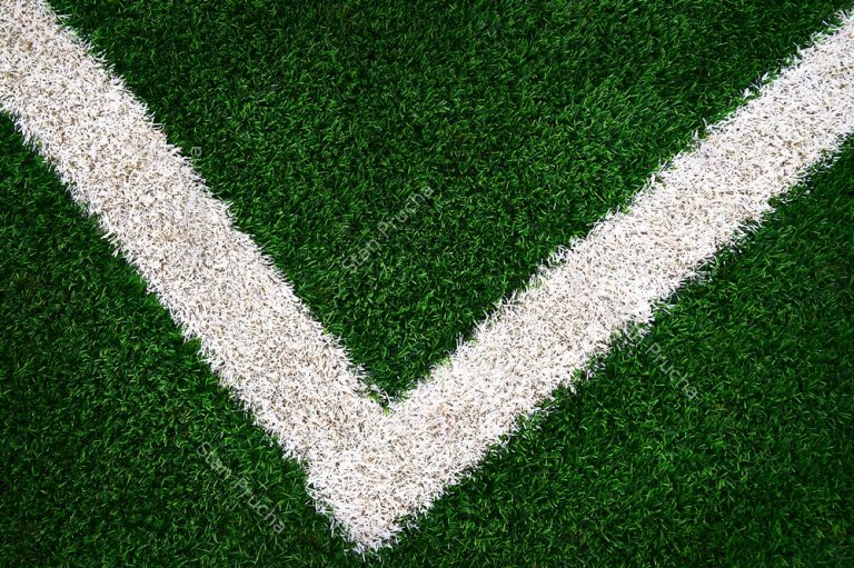 Artificial Green Grass Football / Soccer Field / Pitch & White Stripe